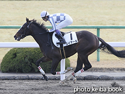 カラープリント(アルミ枠なし)2015年1月24日京都4R 3歳新馬(ユイマール)