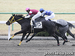 カラーパネル2015年1月24日京都6R 3歳新馬(シンダーズ)