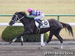 カラープリント(アルミ枠付き)2015年1月24日京都7R 4歳上500万下(ヒラボクレジェンド)