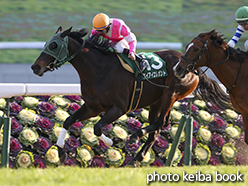 カラーパネル2015年1月24日京都11R 京都牝馬ステークス(ケイアイエレガント)