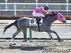 カラーパネル2015年1月24日中京1R 3歳未勝利(テイエムシャンパン)