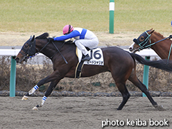 カラーパネル2015年1月24日中山2R 3歳未勝利(ロードシャリオ)