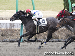 カラープリント(アルミ枠付き)2015年1月24日中山7R 4歳上500万下(チュウワベイビー)