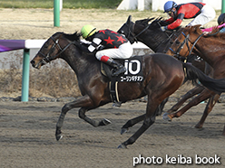 カラープリント(アルミ枠なし)2015年1月24日中山10R 初霞賞(コーリンギデオン)