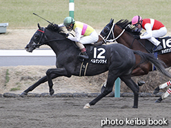 カラープリント(アルミ枠付き)2015年1月24日中山11R アレキサンドライトステークス(ベルゲンクライ)