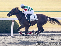 カラーパネル2015年1月25日京都1R 3歳未勝利(グリューヴァイン)