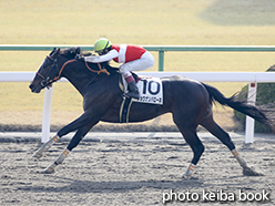 カラープリント(アルミ枠付き)2015年1月25日京都2R 3歳未勝利(ショウナンバローネ)