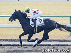 カラープリント(アルミ枠なし)2015年1月25日京都3R 3歳未勝利(ミッキーシーガル)