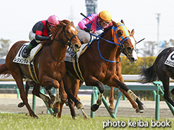 カラープリント(アルミ枠なし)2015年1月25日中京5R 3歳未勝利(メイショウリンクス)