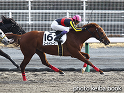 カラープリント(アルミ枠なし)2015年1月25日中京8R 4歳上500万下(ゴールドスーク)