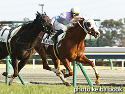 カラープリント(アルミ枠なし)2015年1月25日中京9R 4歳上500万下(ナムラマサシゲ)