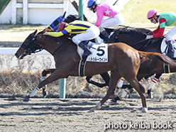 カラープリント(アルミ枠なし)2015年1月25日中山3R 3歳未勝利(トゥルーウインド)