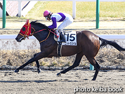 カラープリント(アルミ枠付き)2015年1月25日中山4R 3歳新馬(ニットウスバル)