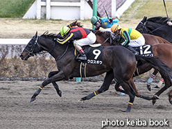 カラープリント(アルミ枠なし)2015年1月25日中山9R 初茜賞(クロスボウ)