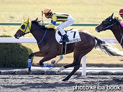 カラープリント(アルミ枠なし)2015年1月31日京都3R 3歳新馬(パドパピヨン)