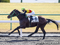 カラープリント(アルミ枠なし)2015年1月31日京都4R 4歳上500万下(キーアシスト)