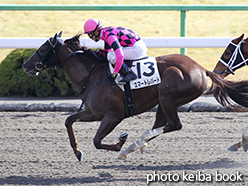 カラープリント(アルミ枠なし)2015年1月31日京都7R 4歳上500万下(スマートレパード)