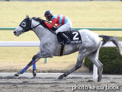 カラープリント(アルミ枠付き)2015年1月31日京都8R 牛若丸ジャンプステークス(タマモプラネット)