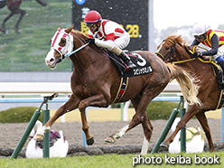 カラープリント(アルミ枠付き)2015年1月31日京都9R 梅花賞(スピリッツミノル)