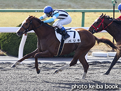 カラープリント(アルミ枠なし)2015年2月1日京都1R 3歳未勝利(バリキ)