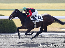 カラープリント(アルミ枠付き)2015年2月1日京都2R 3歳未勝利(トップディーヴォ)