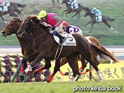 カラープリント(アルミ枠なし)2015年2月1日京都5R 3歳新馬(オメガゴールドレイ)