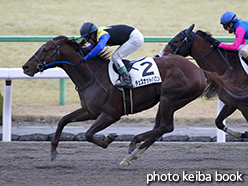 カラープリント(アルミ枠なし)2015年2月1日京都12R 4歳上1000万下(チェスナットバロン)