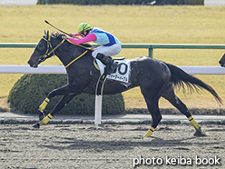 カラープリント(アルミ枠付き)2015年2月7日京都1R 3歳未勝利(ウォーターイーグル)