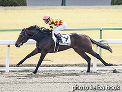 カラーパネル2015年2月7日京都4R 3歳500万下(アキトクレッセント)