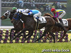 カラープリント(アルミ枠付き)2015年2月7日京都5R 3歳未勝利(オデッタ)