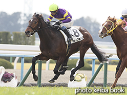 カラーパネル2015年2月7日京都6R 3歳未勝利(ウェーブキング)