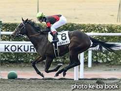 カラープリント(アルミ枠付き)2015年2月7日小倉1R 3歳未勝利(ハルマッタン)