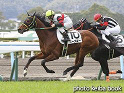 カラーパネル2015年2月7日小倉8R 4歳上500万下(ゴースルー)