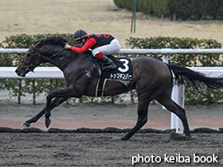 カラープリント(アルミ枠付き)2015年2月7日小倉11R 早鞆特別(トップボンバー)