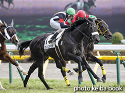 カラーパネル2015年2月7日東京8R 4歳上500万下(カレンリスベット)