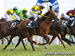 カラーパネル2015年2月7日東京10R 箱根特別(ダービーフィズ)