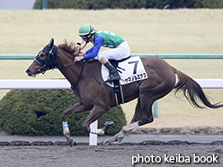 カラーパネル2015年2月8日京都1R 3歳未勝利(ヤマノルミナス)