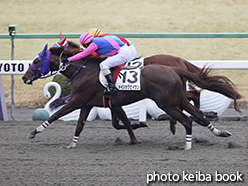 カラープリント(アルミ枠なし)2015年2月8日京都4R 障害未勝利(メイショウセイウン)