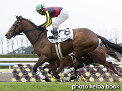 カラープリント(アルミ枠なし)2015年2月8日京都8R 4歳上500万下(ハッピーモーメント)