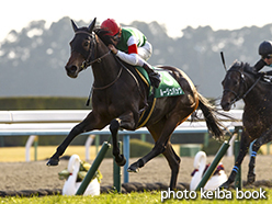 カラープリント(アルミ枠付き)2015年2月8日京都11R きさらぎ賞(ルージュバック)