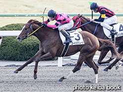 カラープリント(アルミ枠付き)2015年2月8日京都12R 4歳上1000万下(ゴーインググレート)