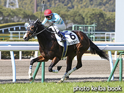 カラープリント(アルミ枠付き)2015年2月8日小倉4R 3歳未勝利(ジャストフォーユー)