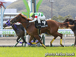 カラーパネル2015年2月8日小倉12R 日田特別(アカネイロ)