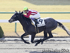 カラーパネル2015年2月14日京都1R 3歳未勝利(セイユニコーン)