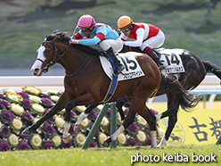 カラーパネル2015年2月14日京都5R 3歳未勝利(ブロウユアマインド)