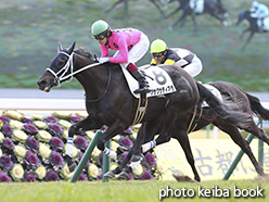 カラーパネル2015年2月14日京都7R 4歳上500万下(アサクサティアラ)