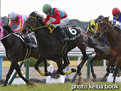 カラープリント(アルミ枠なし)2015年2月14日京都9R こぶし賞(ペルフィカ)