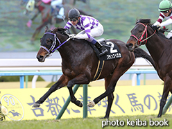 カラーパネル2015年2月14日京都10R 琵琶湖特別(プランスペスカ)