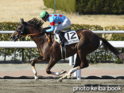 カラーパネル2015年2月14日小倉2R 3歳未勝利(ディグニファイド)