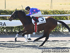 カラープリント(アルミ枠付き)2015年2月14日小倉9R 4歳上500万下(シングンカイロス)